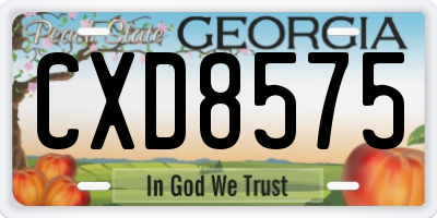 GA license plate CXD8575