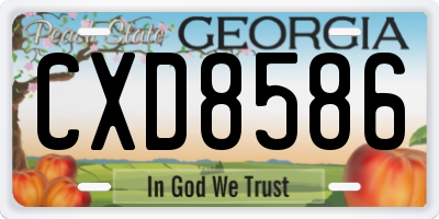 GA license plate CXD8586