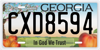 GA license plate CXD8594