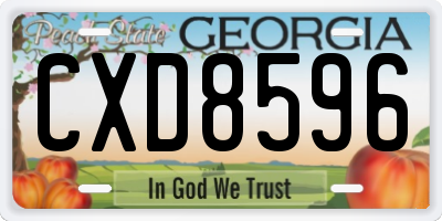 GA license plate CXD8596