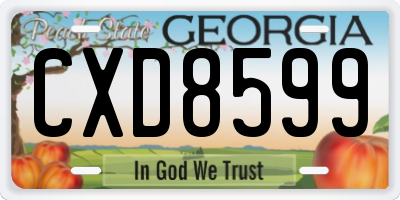 GA license plate CXD8599