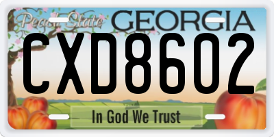 GA license plate CXD8602