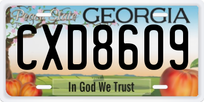 GA license plate CXD8609