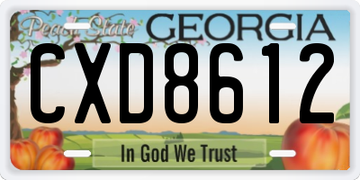 GA license plate CXD8612