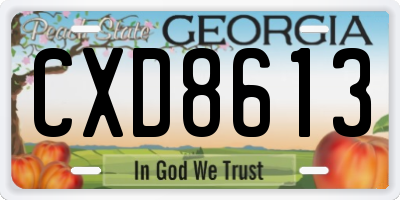 GA license plate CXD8613