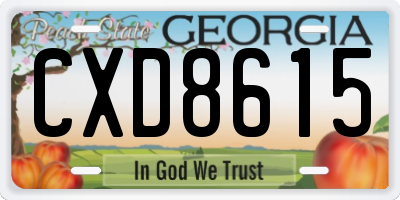 GA license plate CXD8615