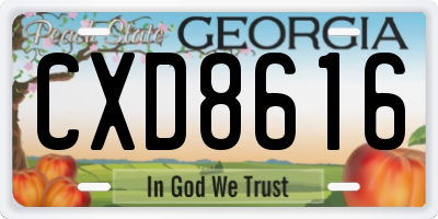 GA license plate CXD8616