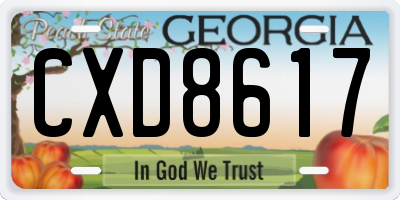 GA license plate CXD8617