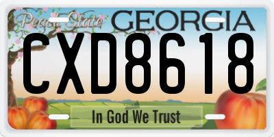 GA license plate CXD8618