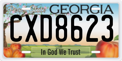 GA license plate CXD8623