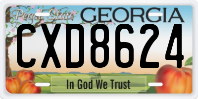 GA license plate CXD8624