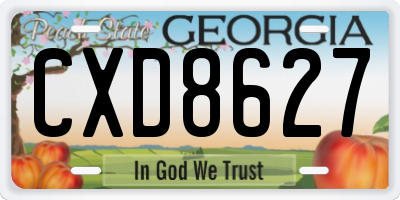 GA license plate CXD8627
