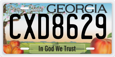 GA license plate CXD8629