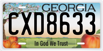 GA license plate CXD8633