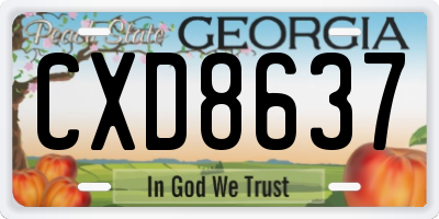GA license plate CXD8637