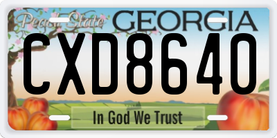 GA license plate CXD8640