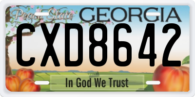 GA license plate CXD8642