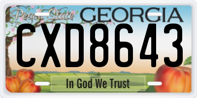 GA license plate CXD8643