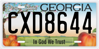 GA license plate CXD8644