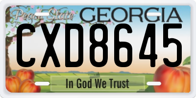 GA license plate CXD8645