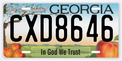 GA license plate CXD8646
