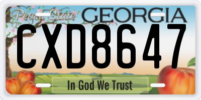 GA license plate CXD8647