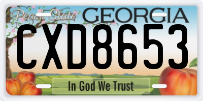 GA license plate CXD8653