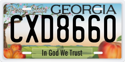 GA license plate CXD8660