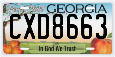 GA license plate CXD8663