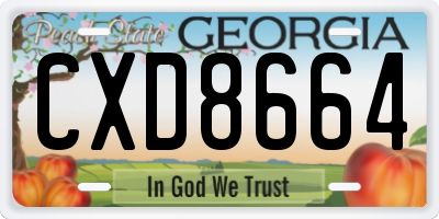 GA license plate CXD8664