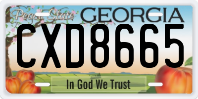 GA license plate CXD8665