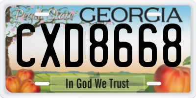 GA license plate CXD8668