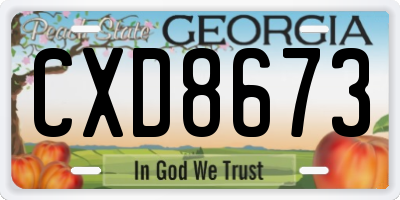 GA license plate CXD8673