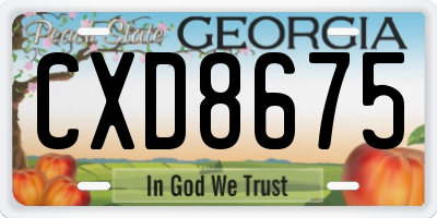 GA license plate CXD8675