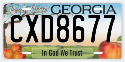 GA license plate CXD8677