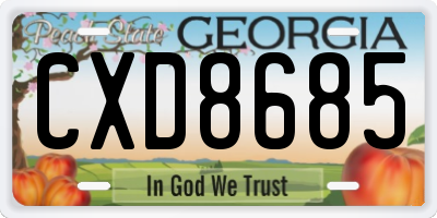 GA license plate CXD8685