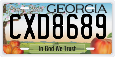 GA license plate CXD8689