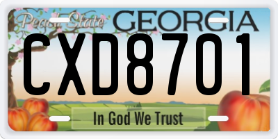 GA license plate CXD8701