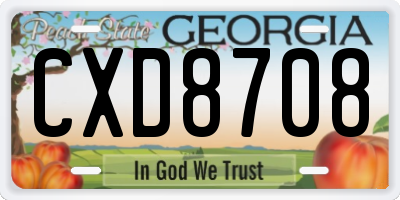 GA license plate CXD8708