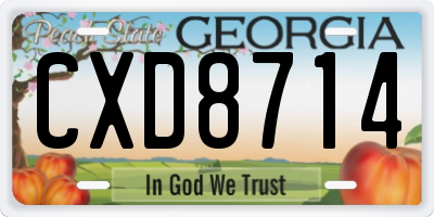 GA license plate CXD8714