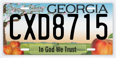 GA license plate CXD8715