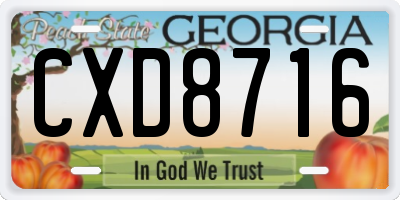GA license plate CXD8716