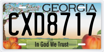 GA license plate CXD8717