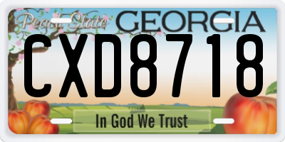 GA license plate CXD8718