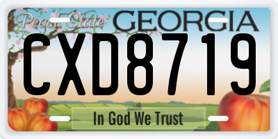 GA license plate CXD8719