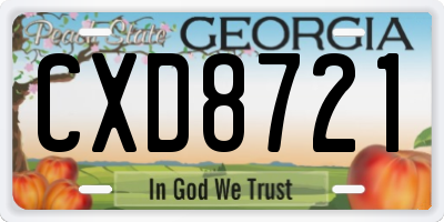 GA license plate CXD8721