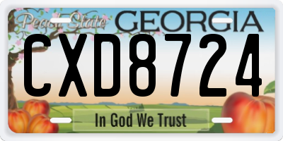 GA license plate CXD8724