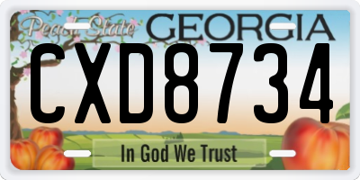 GA license plate CXD8734