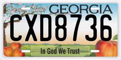 GA license plate CXD8736