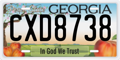 GA license plate CXD8738